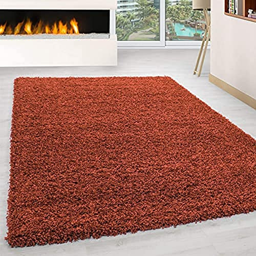 Ayyildiz Teppich-Hochflor Shaggy Teppich unicolor einfarbig Wohnzimmer Flauschig, Polypropylen, Terracotta, 240 X 340