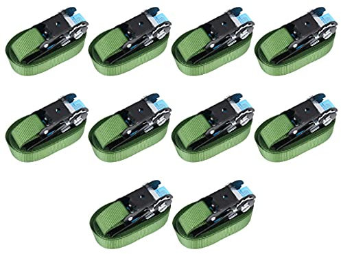 vidaXL 10x Ratschen Spanngurt Zurrgurte Ratschengurte Spanngurte Zurrgurt Ratschenspanngurte Ratschengurt Ratschenspanngurt 800 daN 6m Grün
