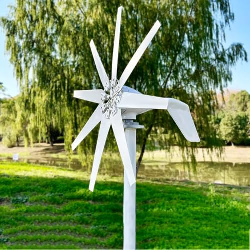 5000 W Hocheffizienter Windturbinengenerator Horizontaler Windkraftgenerator Niedrige Startgeschwindigkeit Windmühlen-Turbinenanschluss 220-V-Wechselrichter Mit Mppt-Hybridsteuerung,12V