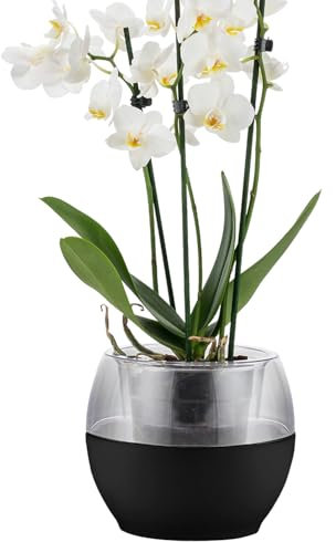 alqua 16CM Self Watering Plant Pots – Black Plastic Flower Pots with Drainage – Indoor & Outdoor Planters for Orchid – Large Garden Pots for Plants – Modern Plastic Plant Containers