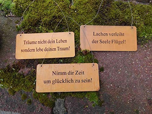 3er Set dekorative Schilder Sprüche Weisheiten Leben Eisen rostig