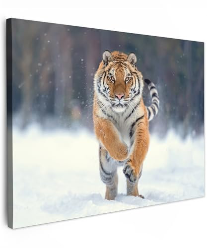 MuchoWow© Impression sur Toile Peinture 70x50 cm Tableau Mural Decoration Salon Reproductions de Tableaux Murale Moderne Tigre - Paysage - Neige - Hiver - Animaux
