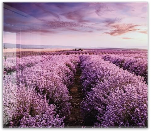 timalo Küchenbild aus Acrylglas modernes Wandbild Glasbild Deko Küche XXL Bild wie Glas | 60x52cm Lavendelfeld, Provence, lila Blüten, Sonnenuntergang, Natur romantische Landschaft