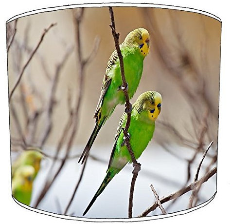 Premier Lighting Ltd 8 Inch Wellensittich Vogel drucken Lampenschirm 9 Für eine Tischlampe