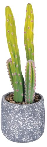 Villa d'Este Home Tivoli Cactus - Planta Artificial de hormigón, 13 x 40,5 cm