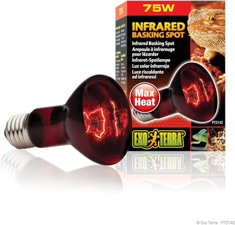 Exo Terra Infrared Basking Spot, Wärmespotlampe, R20, 75W, Fassung E27, 1 Stück (1er Pack)