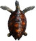 3D-Kühlschrankmagnet, Malediven-Schildkröte, Reiseaufkleber, Souvenir, Kühlschrankmagnet, Dekoration für Zuhause und Küche