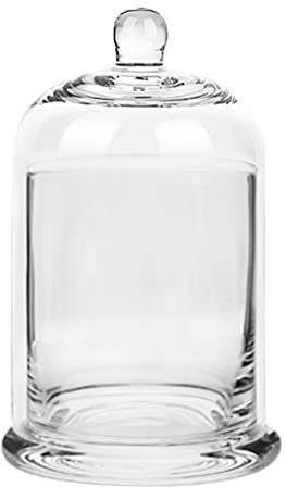 Terrarium Glass Jar with Glass Dome Lid for Plants, Premium Glass Food Container, Candle Jars