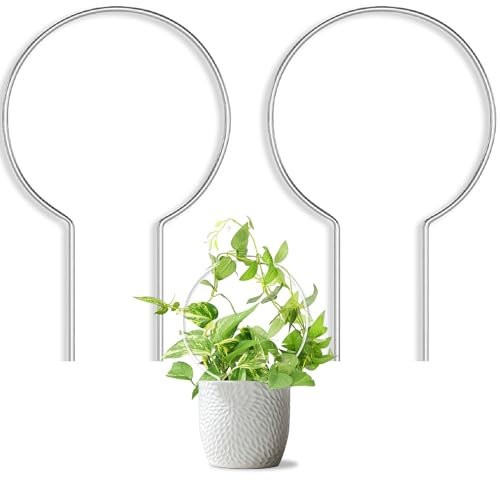 JETTIFY 2 Pack Runde Pflanzen-Rankhilfe für Topfpflanzen Indoor Outdoor, Acryl Kleine Rankhilfe für Kletterpflanzen, Pflanzenstütze für Hoya Pothos Rebe Efeu Monstera Blume Philodendrons Dischidia