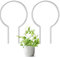 JETTIFY 2 Pack Runde Pflanzen-Rankhilfe für Topfpflanzen Indoor Outdoor, Acryl Kleine Rankhilfe für Kletterpflanzen, Pflanzenstütze für Hoya Pothos Rebe Efeu Monstera Blume Philodendrons Dischidia