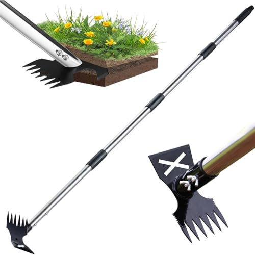 Ryfpdml Herramienta extractora de malezas con mango largo, rastrillo manual 2 en 1 y azada de jardín de 150 cm, herramientas de jardinería, regalo para niños y adolescentes (F)