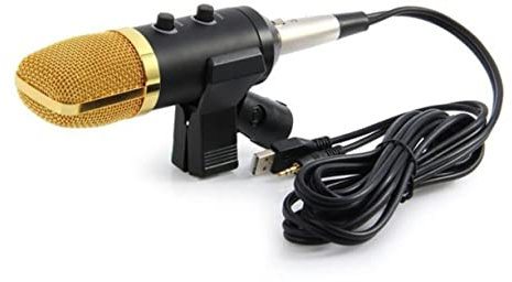 ifundom Microfono Condensatore Usb Con Chip Di Riverbero Integrato e Supporto Per Registrazione Del Suono Effetto Eco e Surround