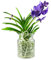 Orchidea Vanda in vaso di vetro 45 cm Viola Vanda