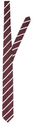 SELETED HOMME Herren SLHLANE Stripe TIE NOOS Krawatte, Syrah, ONE Size