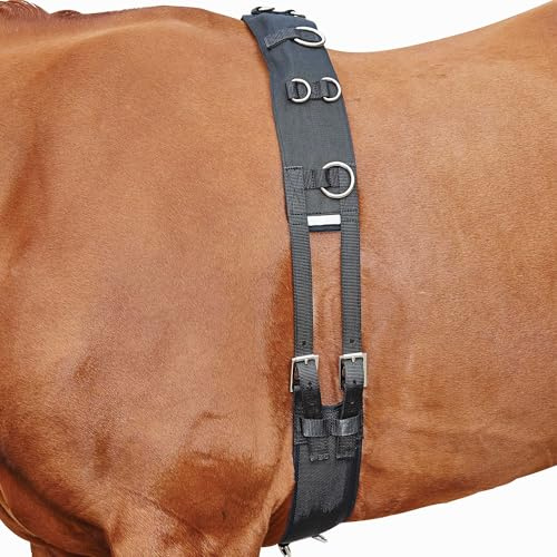 Kincade Lunge Roller with Fleece Padding, Black, Cob