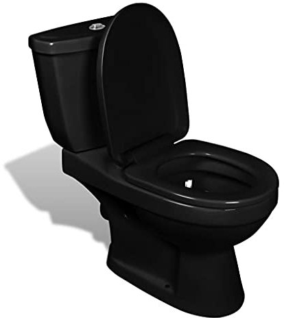 Ailgely Design Stand WC Bodenstehend mit Spülkasten Keramik Schwarz Toilette 70 x 39 x 76 cm (L x B x H)