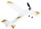 Abaodam 1set Rubber Band Powered Glider Plane Model Assembly Aircraft Toy for Boys and Girls Outdoor Fun Parent-boy Girl Activity Safe and Engaging Educational Play for Boys and Girls