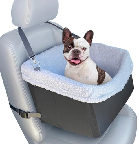 Stella and Bear Cozy Boost Autositzerhöhung für Hunde, mit Sicherheitsgurt, für kleine bis mittelgroße Hunde, Welpen und Haustiere (modernes Grau)