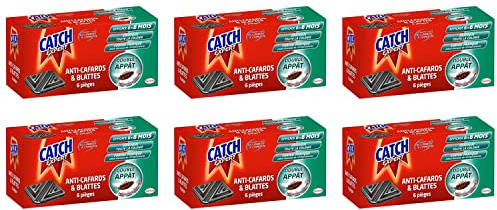 CATCH Lot de 6 boîtes de 6 pièges contaminateurs Anti–Cafards & Blattes