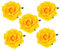 DRESHOW 5 Pièces Fleur Broche Tête Ornement Mariée Femmes Rose Fleur Accessoires De Cheveux Pince À Cheveux De Mariage Danseuse De Flamenco