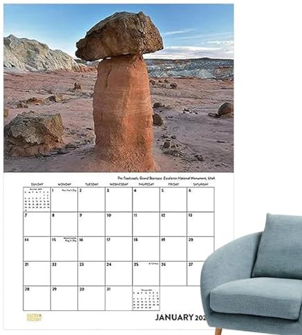 itrimaka Lustiger Kalender 2024 - Natur-Tischkalender mit lustigen Bildern für Erwachsene | Tischkalender, Wandkalender, lustige Naturfotografie-Sammlung, monatlicher Naturkalender