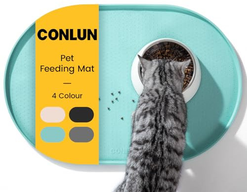 Conlun Tapis Gamelle Chat avec Rebords Surélevés de 1,2 cm pour Contenir les Déversements, Tapis Gamelle Chien en Silicone sans BPA pour Gamelles d'eau et de Nourriture pour Animaux(Turquoise,60x40cm)