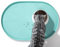Conlun Tapis Gamelle Chat avec Rebords Surélevés de 1,2 cm pour Contenir les Déversements, Tapis Gamelle Chien en Silicone sans BPA pour Gamelles d'eau et de Nourriture pour Animaux(Turquoise,60x40cm)