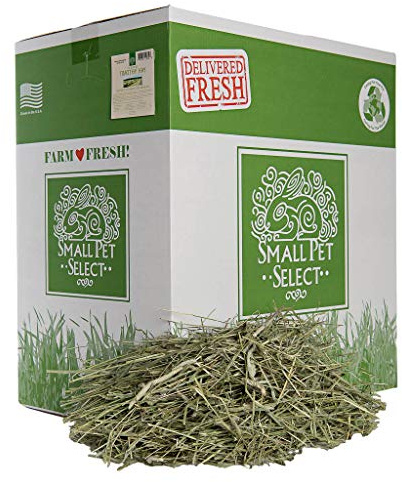 Small Pet Select 1st Cut Timothy Hay Pet Food for Rabbits, Guinea Pigs, and Other Small Animals, Easy to Store Box, 50lb (22.68kgs)