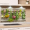 GRAZDesign Küchenrückwand Glas Kräuter Küchenkräuter und Blumen - Spritzschutz Küche Herd - Glasrückwand als Glasbild - Holzoptik Holz, Herdblende Rückwand Küche 60x60cm