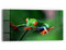 DEQORI Glasbild Echtglas | Motiv Grüner Frosch im Laub | horizontal einteilig 60x30 cm | schöne Dekoration | Wandbild für Wohnzimmer, Schlafzimmer, Flur & Küche | moderne Wanddeko