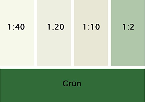 Schöner Wohnen Silikat Vollton- & Abtönfarbe 250 ml Grün