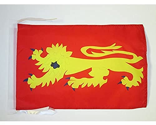 AZ FLAG Aveyron Flag 45x30 cm 100D Polyester Cords | Indoor and outdoor use Department of France 12x18 in decorative flag double stitched seams and reinforced edges with ties