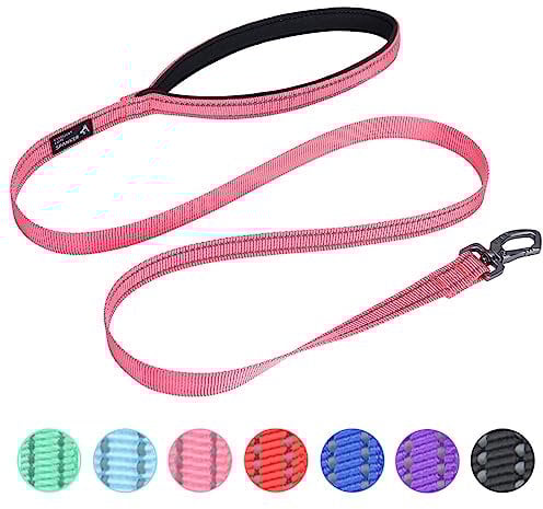 EXCELLENT ELITE SPANKER Starke haltbare reflektierende Hund Gassi gehen Leine Traktion Seil 4 Meter lang 3/4 breit mit bequemen gepolsterten Griff für kleine Hunde(PIK)