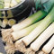 Porro - mostruoso di carentan 2-100 semi - inverno hardy - allium porrum - NPWS:Seeds