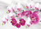 Kit Complet Peinture Diamant 5D Fleurs, Peinture Diamant DIY pour Adultes Débutants,broderie diamant kit complet, 5d DIY diamant painting kit, Décoration Murale Maison Cadeau (40x30cm)