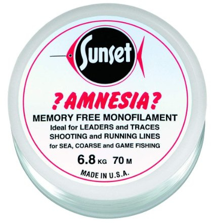 Jenzi Amnesia Leader Vorfach, Klar, 12lbs 100m
