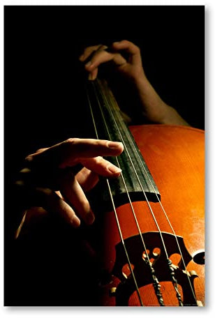 Postereck - 0101 - Kontrabass, Musik Klassik Instrument Rock Jazz - Wandposter Fotoposter Bilder Wandbild Wandbilder - Poster - 3:2-61,0 cm x 40,5 cm
