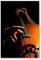 Postereck - 0101 - Kontrabass, Musik Klassik Instrument Rock Jazz - Wandposter Fotoposter Bilder Wandbild Wandbilder - Poster - 3:2-61,0 cm x 40,5 cm
