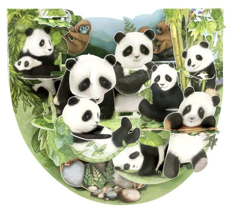 Santoro Popnrock, 3D-Pop-Up-Grußkarte – Pandas – Für Sie, Ihn, Kinder, Mädchen | Panda-Geburtstagskarte