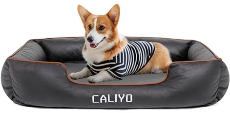 CALIYO Orthopädisches Hundebett Kleine Hunde – Hundekissen aus Kunstleder, Wasserdicht & Waschbar, Memory Foam Hundesofa mit 4 Rändern, Hundematte 85×63×20 cm, Schwarz