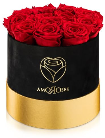 Amoroses Special Velvet - 12 Rose Stabilizzate Vere in elegante cappelliera di velluto - Idea Regalo per San Valentino e Altre Occasioni Speciali (Scatola Velluto Nero con Rose Rosse)