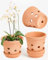 vensovo 15CM Terracotta Orchid Pots with Holes and Saucers - Clay Orchid Planter Pots for Repotting, Plant Flower Pots for Orchid Indoor and Outdoor Promotes Air Circulation