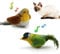 LEWISER Cat Toys Chirping Tit 2 Pcs with Catnip SilverVine, Suitable for Cat Wand Toys, Simulation Bird Design, Interactive Toys for Indoor Kitty Kitten Exercise, Green and Ground