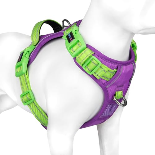 PHOEPET No Pull Hundewestengeschirr, verstellbares, reflektierendes, Nicht erstickendes Haustiergeschirr mit einfach zu bedienendem Griff und Metallklammern für Hunde（Violett Basis & Grüne Träger，M