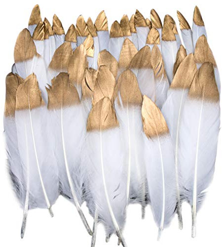 Bunte Federn, 40 Stück, Weißgold, gehärtet, Feder, Dekoration, ideal für Kostüme, Hüte, Innendekoration, Party, Hochzeit, Geburtstag, mehrfarbig