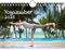 Yogazauber DIN A5 Wandkalender für 2025 Yoga ZEN Wellness - Seelenzauber