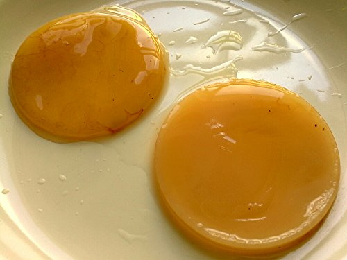 The Kefir Collection Kombucha-Scoby, Bio, Tasche, 7cm / 3 inches
