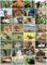 the lazy panda card company Auswahl an Natur-Postkarten: 32 Postkarten in verschiedenen Naturmotiven (Lustige Tiere)