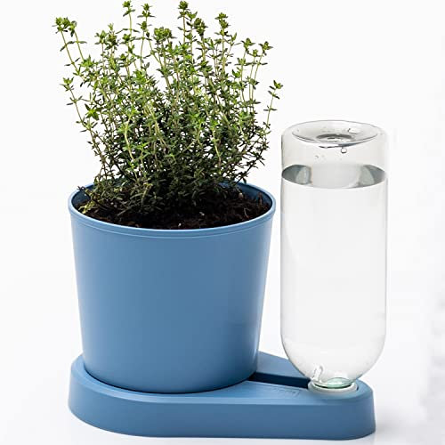greevi kräuterheld | Selbstbewässernder Pflanztopf für Küchenkräuter | Made in Germany | Kunststoff (Standard, Pastellblau)