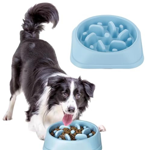 Gamelle Anti Glouton Chien,Gamelle d'alimentation Lente,Alimentation Lente et Saine,Gamelle Antidérapante et Anti-glouton,Antidérapants Anti Vomissements Gamelle pour Petit Chiens